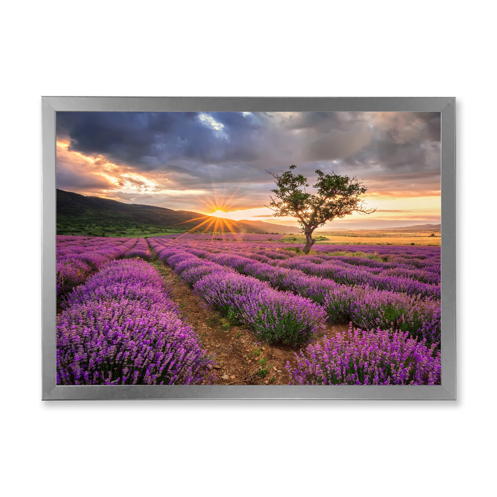 Designart 'Dramatic Clouds and Sunrise Over Lavender Field VIII' Farmhouse Framed Art Print