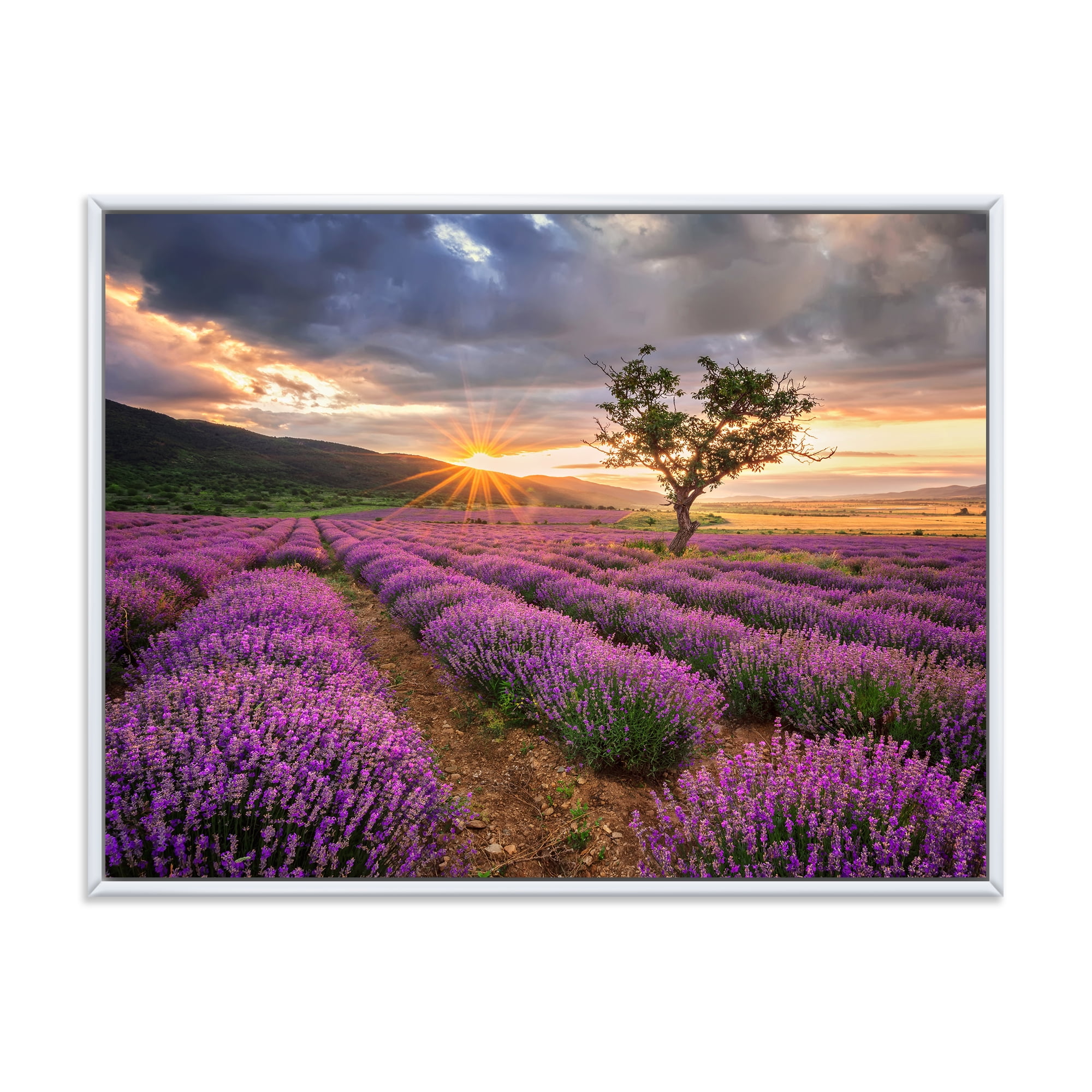 Designart 'Dramatic Clouds and Sunrise Over Lavender Field VIII' Farmhouse Framed Canvas Wall Art Print