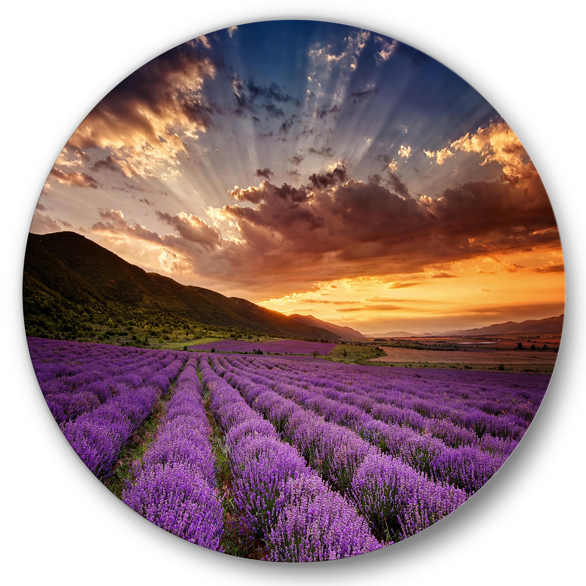 Designart 'Dramatic Clouds and Sunrise Over Lavender Field X' Farmhouse Circle Metal Wall Art 11x11 - Disc of 11