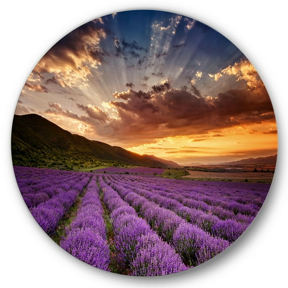 Designart 'Dramatic Clouds and Sunrise Over Lavender Field X' Farmhouse Circle Metal Wall Art 36x36 - Disc of 36