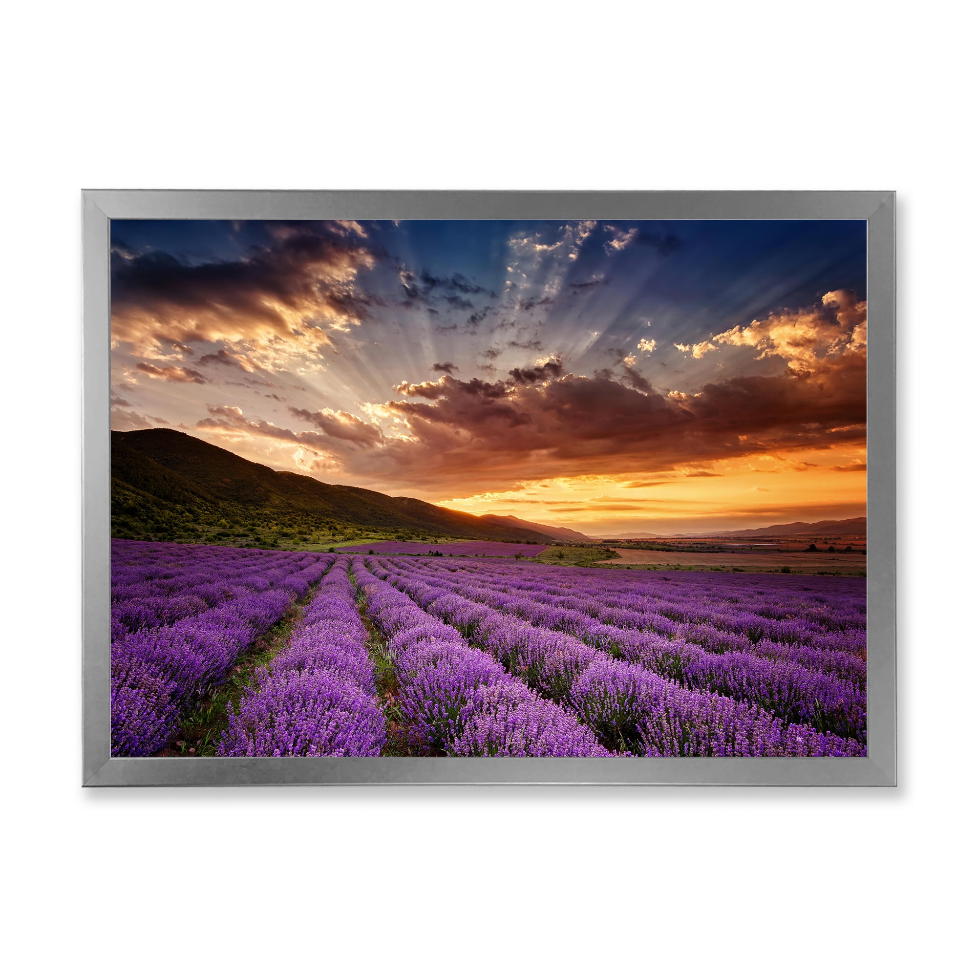Designart 'Dramatic Clouds and Sunrise Over Lavender Field X' Farmhouse Framed Art Print