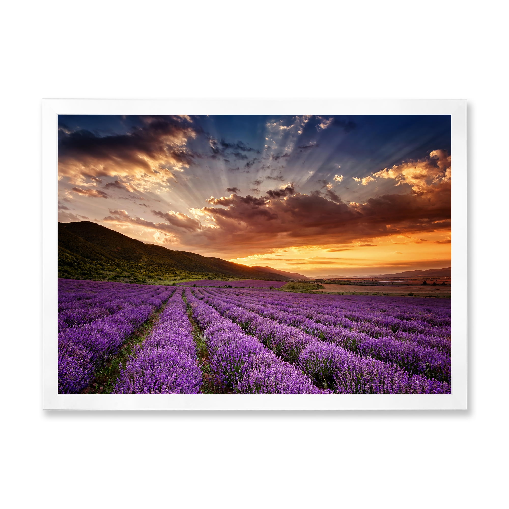 Designart 'Dramatic Clouds and Sunrise Over Lavender Field X' Farmhouse Framed Art Print