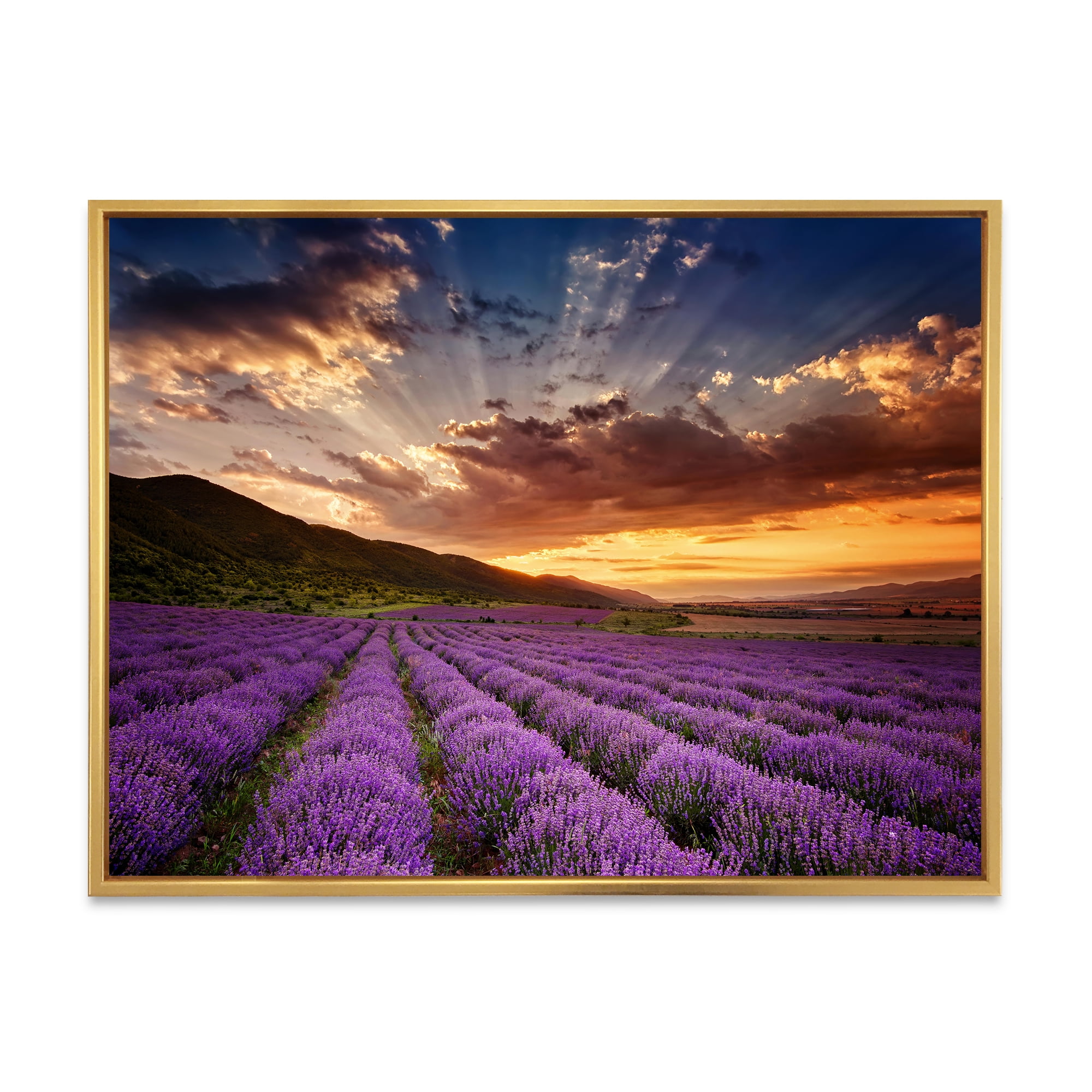 Designart 'Dramatic Clouds and Sunrise Over Lavender Field X' Farmhouse Framed Canvas Wall Art Print