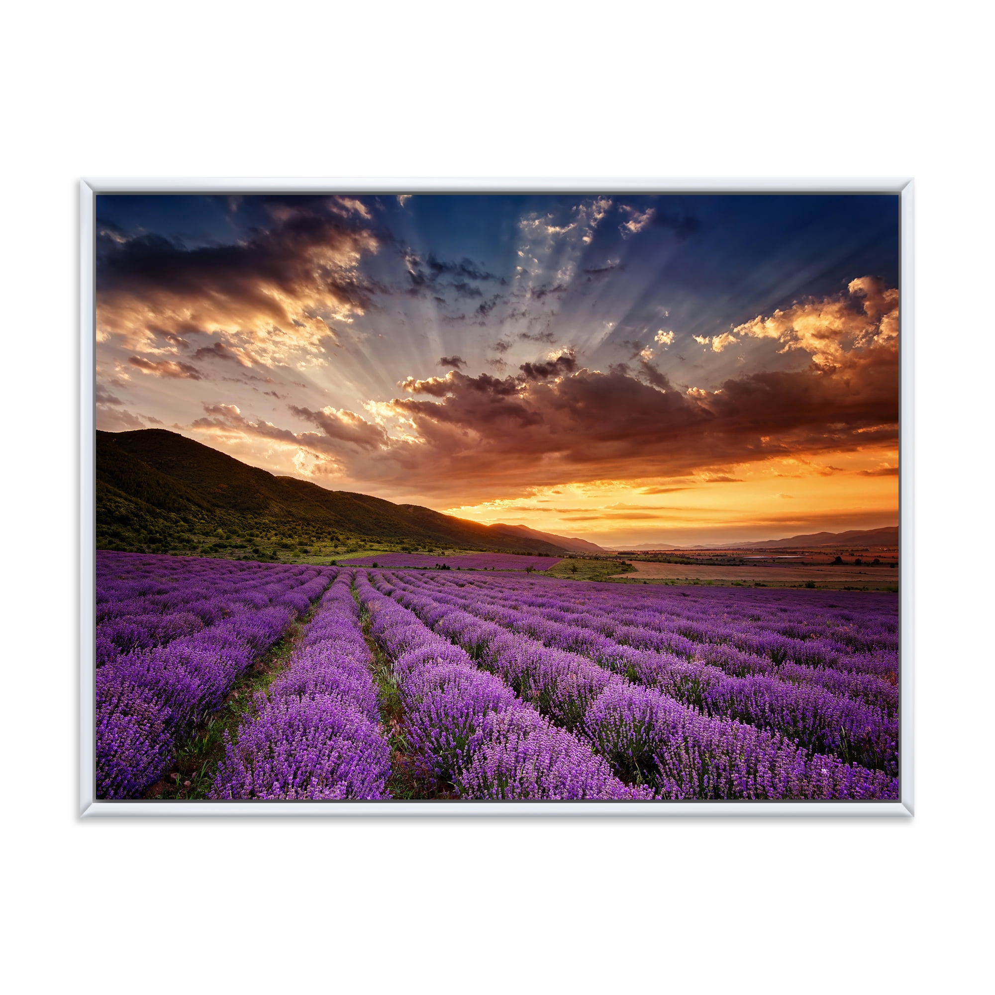 Designart 'Dramatic Clouds and Sunrise Over Lavender Field X' Farmhouse Framed Canvas Wall Art Print