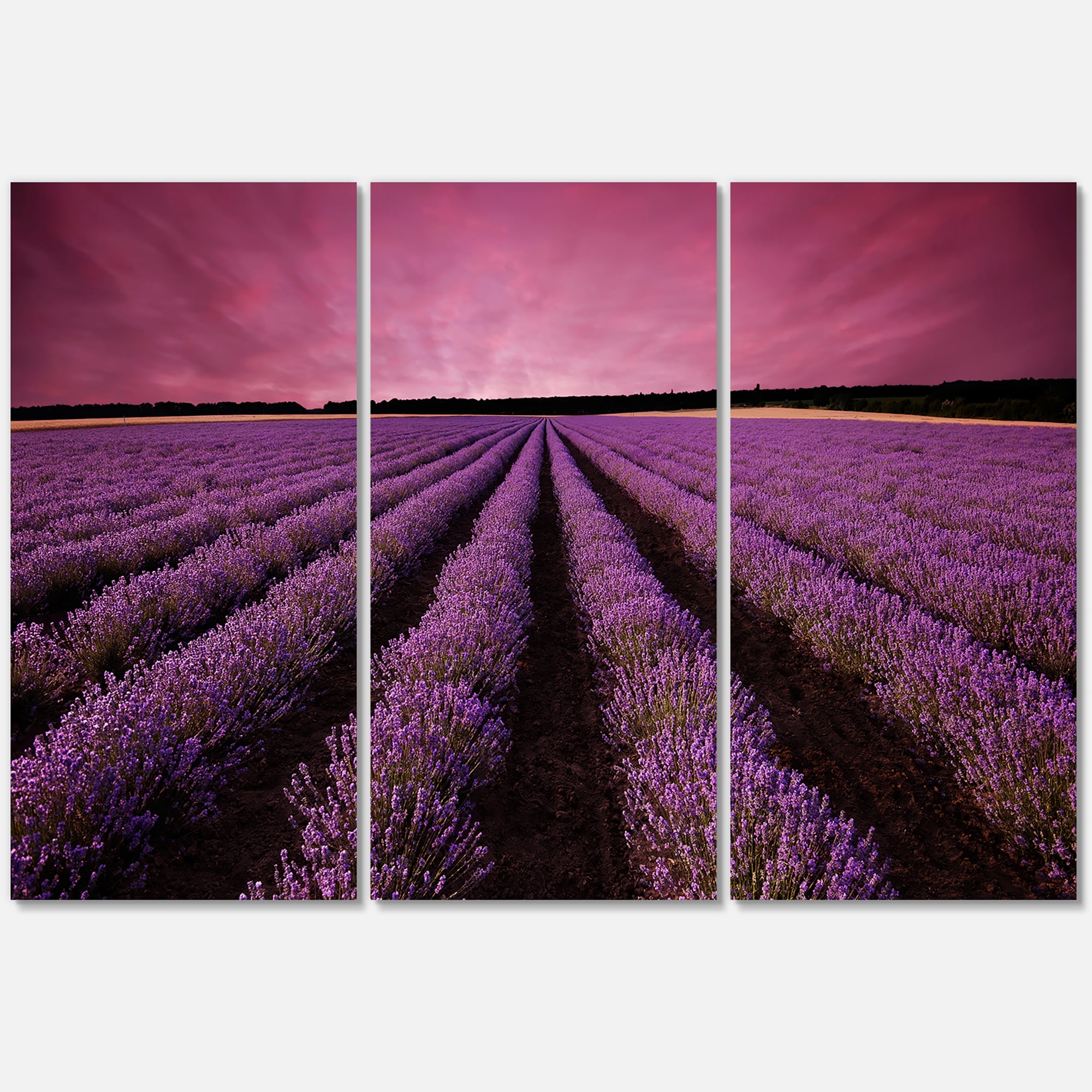 Designart ' Dramatic Clouds and Sunrise Over Lavender Field XI ' Farmhouse Canvas Wall Art Print
