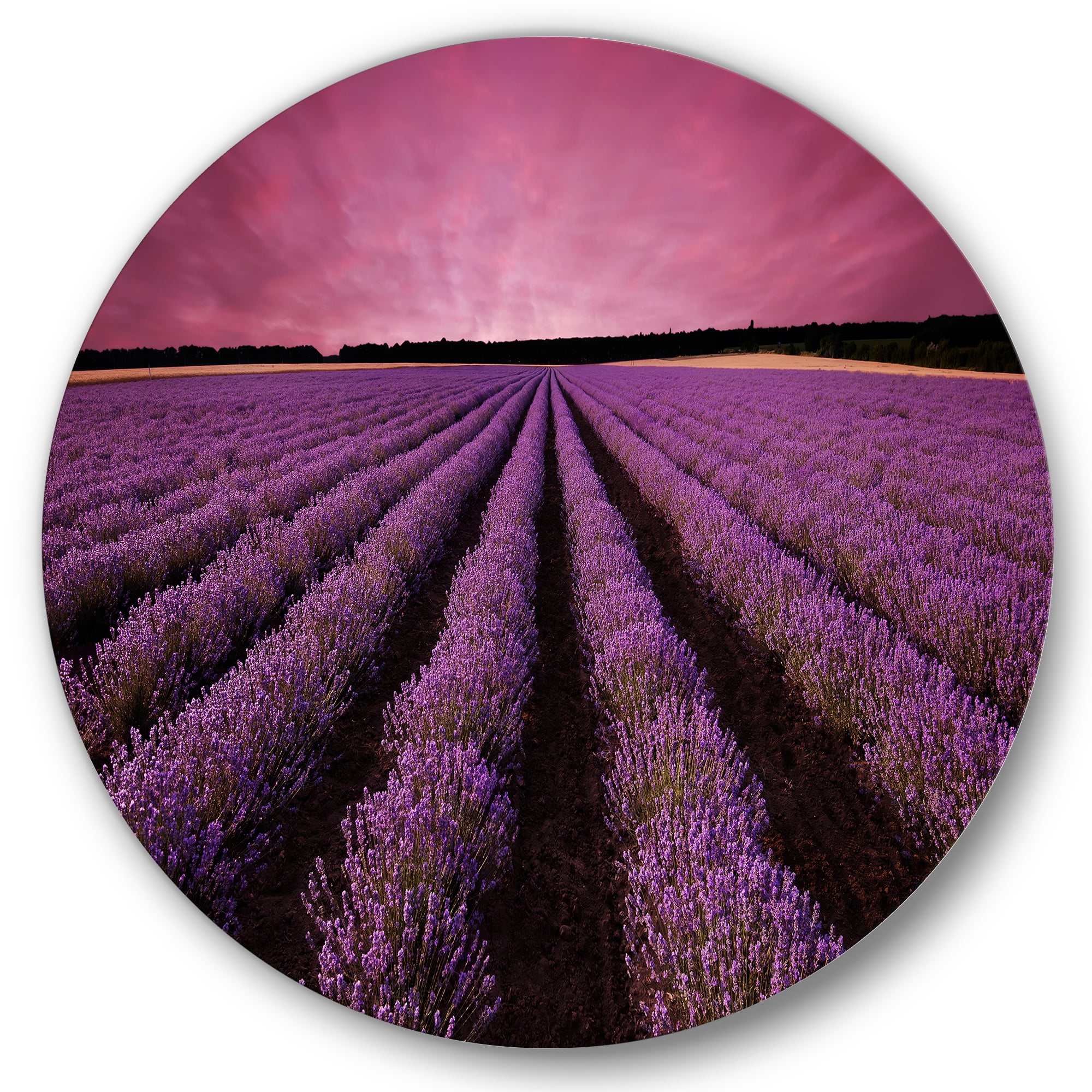 Designart 'Dramatic Clouds and Sunrise Over Lavender Field XI' Farmhouse Circle Metal Wall Art 23x23 - Disc of 23
