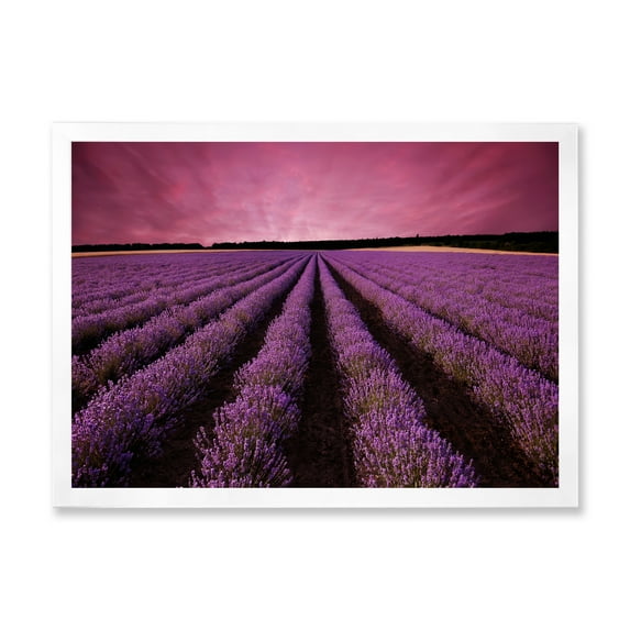 Designart 'Dramatic Clouds and Sunrise Over Lavender Field XI' Farmhouse Framed Art Print