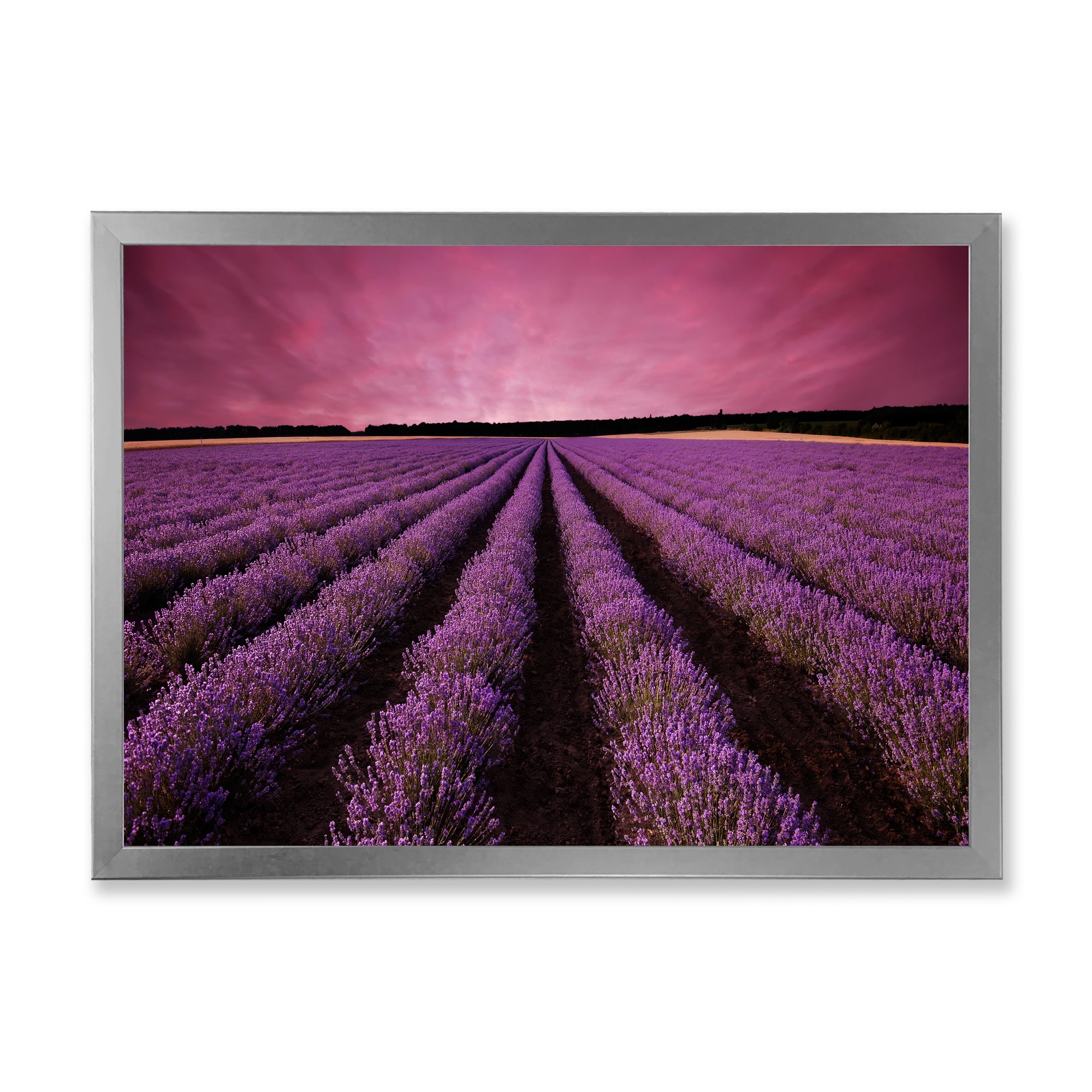 Designart 'Dramatic Clouds and Sunrise Over Lavender Field XI' Farmhouse Framed Art Print