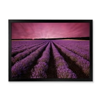 Designart 'Dramatic Clouds and Sunrise Over Lavender Field XI' Farmhouse Framed Art Print