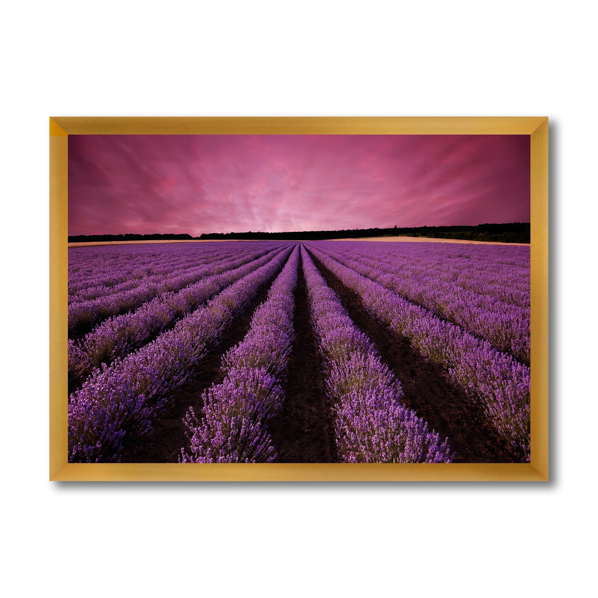 Designart 'Dramatic Clouds and Sunrise Over Lavender Field XI' Farmhouse Framed Art Print