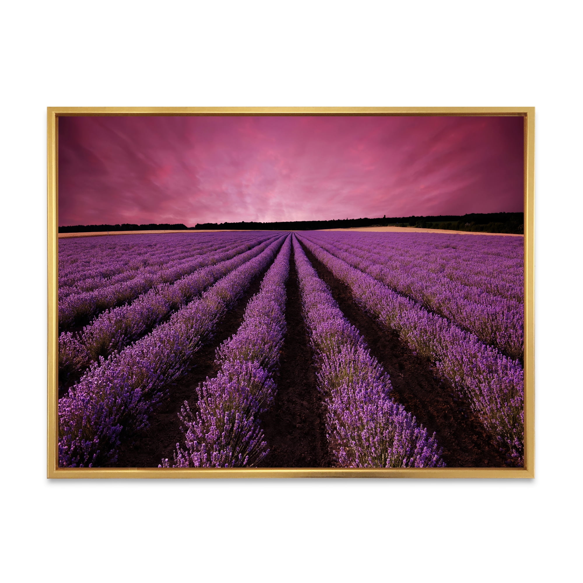 Designart 'Dramatic Clouds and Sunrise Over Lavender Field XI' Farmhouse Framed Canvas Wall Art Print