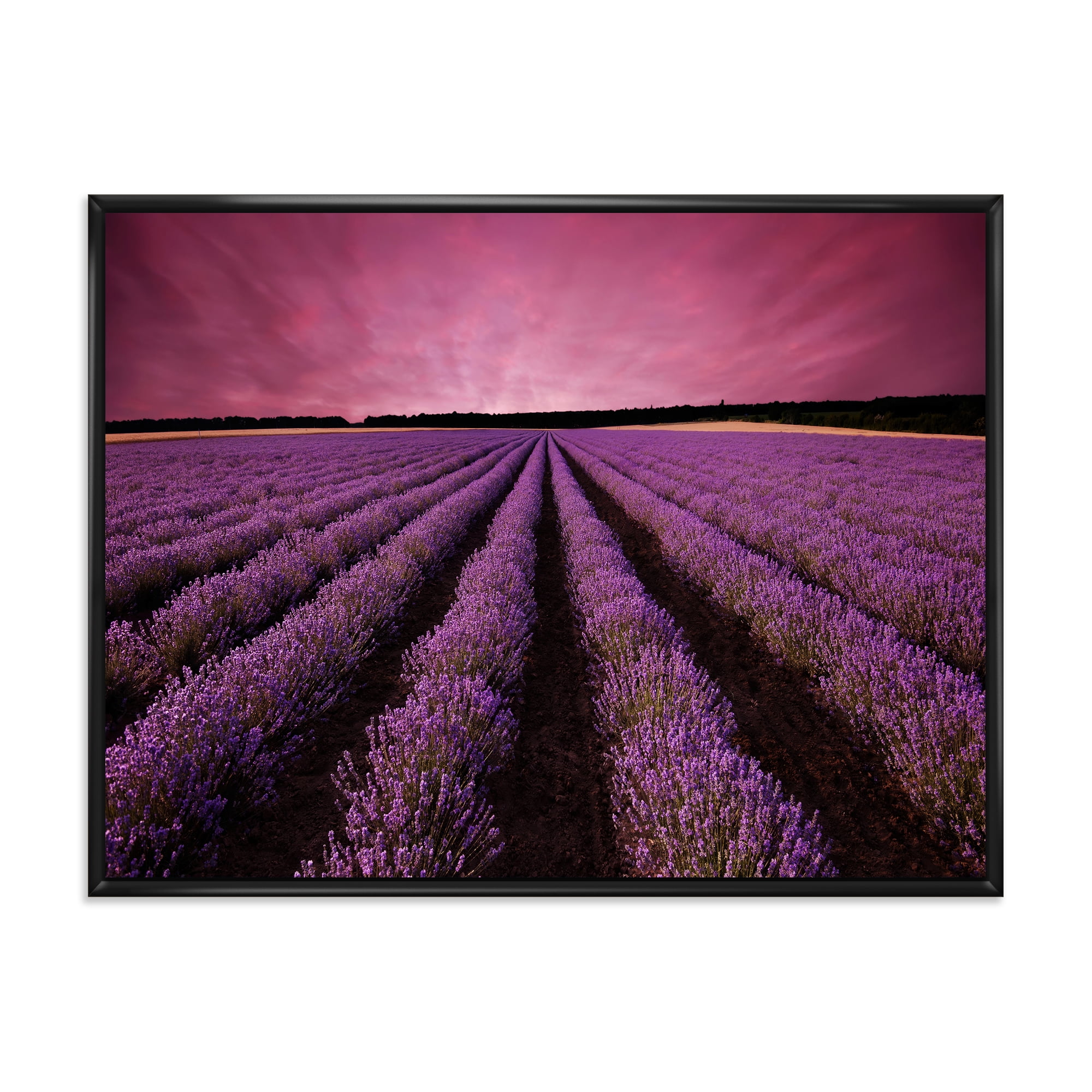 Designart 'Dramatic Clouds and Sunrise Over Lavender Field XI' Farmhouse Framed Canvas Wall Art Print
