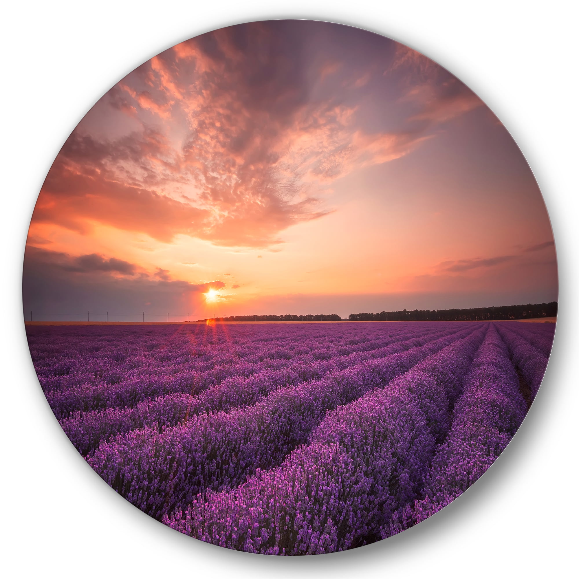 Designart 'Dramatic Clouds and Sunrise Over Lavender Field XII' Farmhouse Circle Metal Wall Art 29x29 - Disc of 29