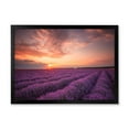 thumbnail image 1 of Designart 'Dramatic Clouds and Sunrise Over Lavender Field XII' Farmhouse Framed Art Print, 1 of 4