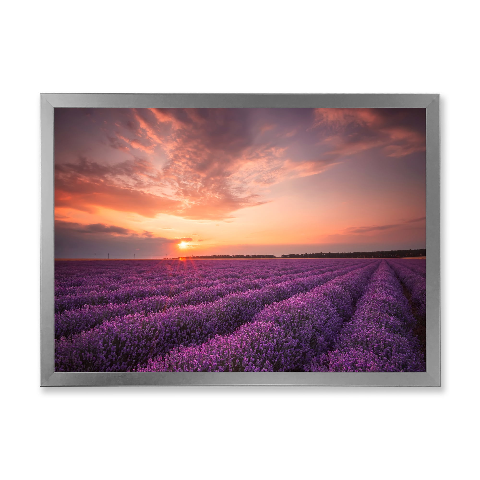 Designart 'Dramatic Clouds and Sunrise Over Lavender Field XII' Farmhouse Framed Art Print