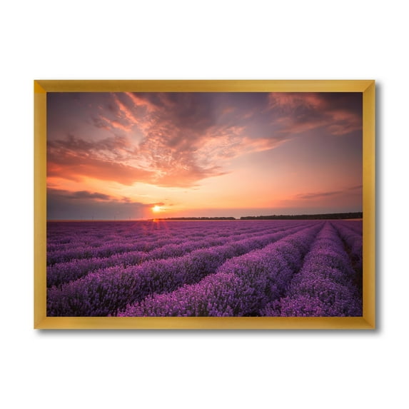 Designart 'Dramatic Clouds and Sunrise Over Lavender Field XII' Farmhouse Framed Art Print