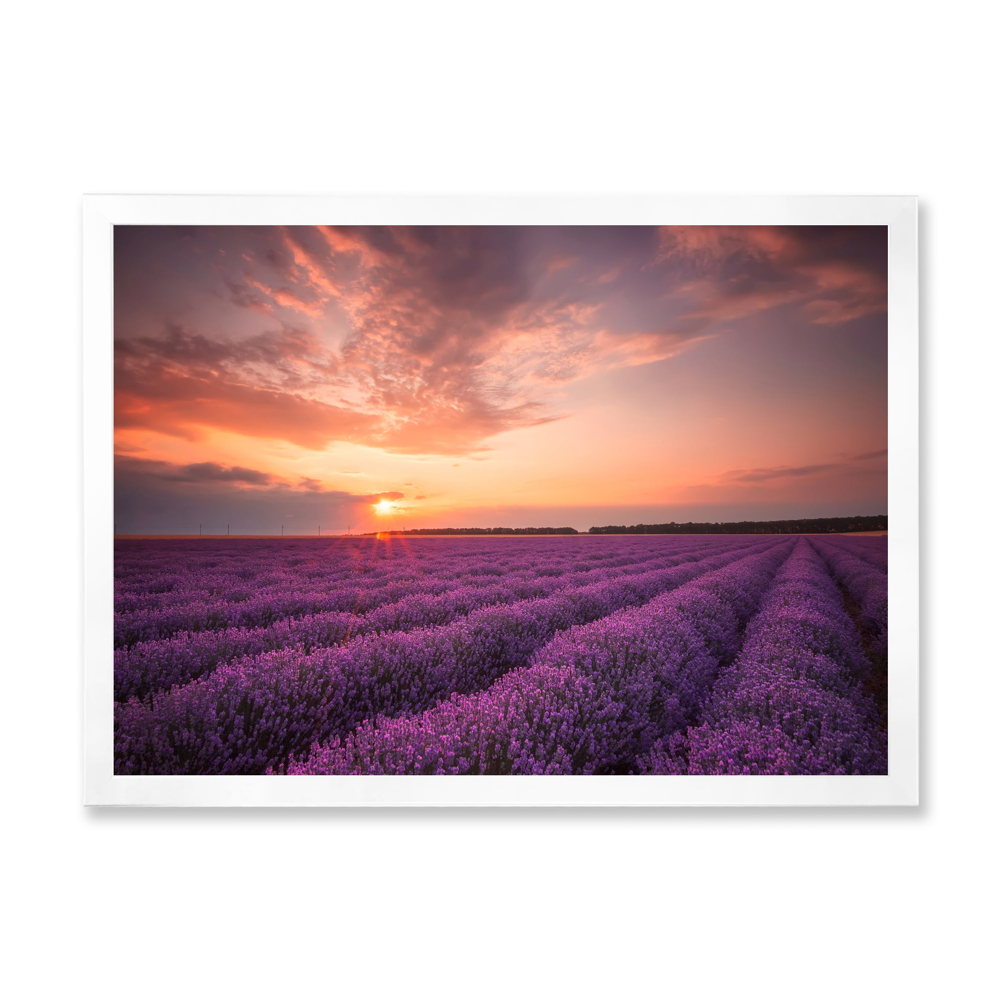 Designart 'Dramatic Clouds and Sunrise Over Lavender Field XII' Farmhouse Framed Art Print