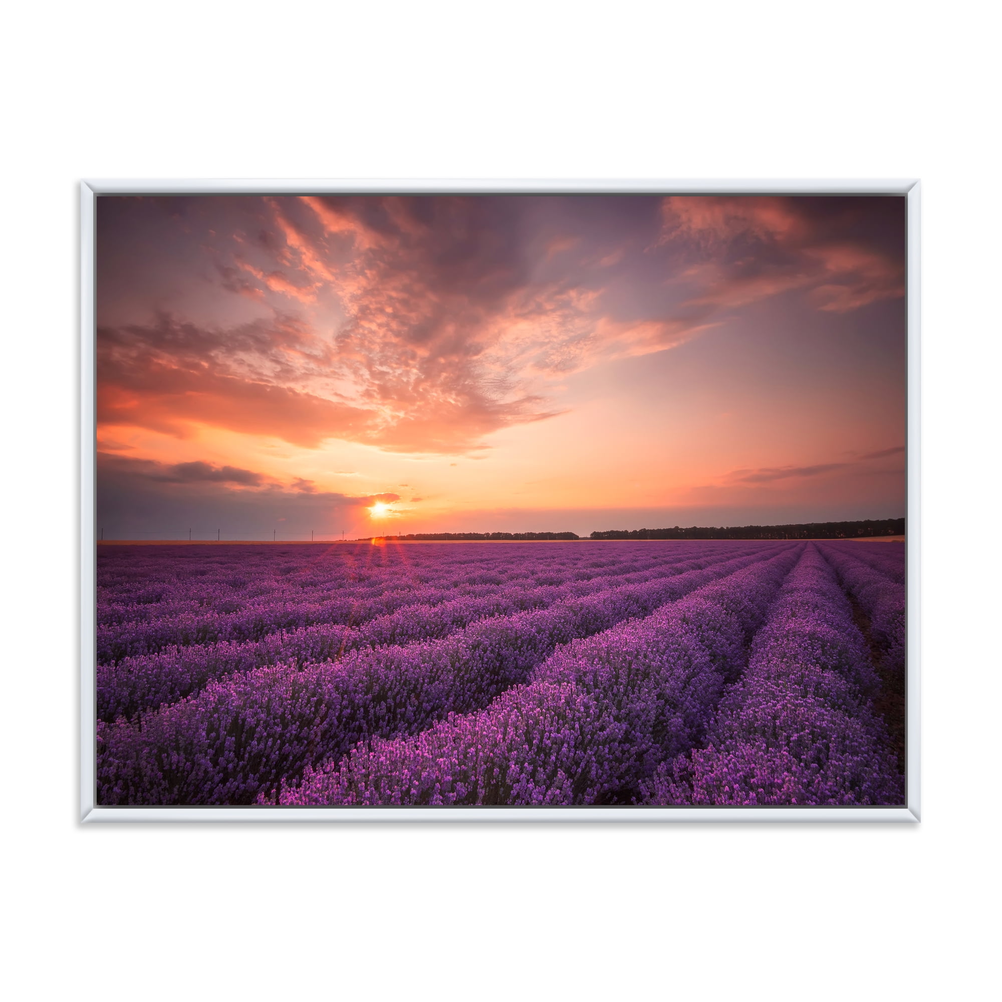 Designart 'Dramatic Clouds and Sunrise Over Lavender Field XII' Farmhouse Framed Canvas Wall Art Print