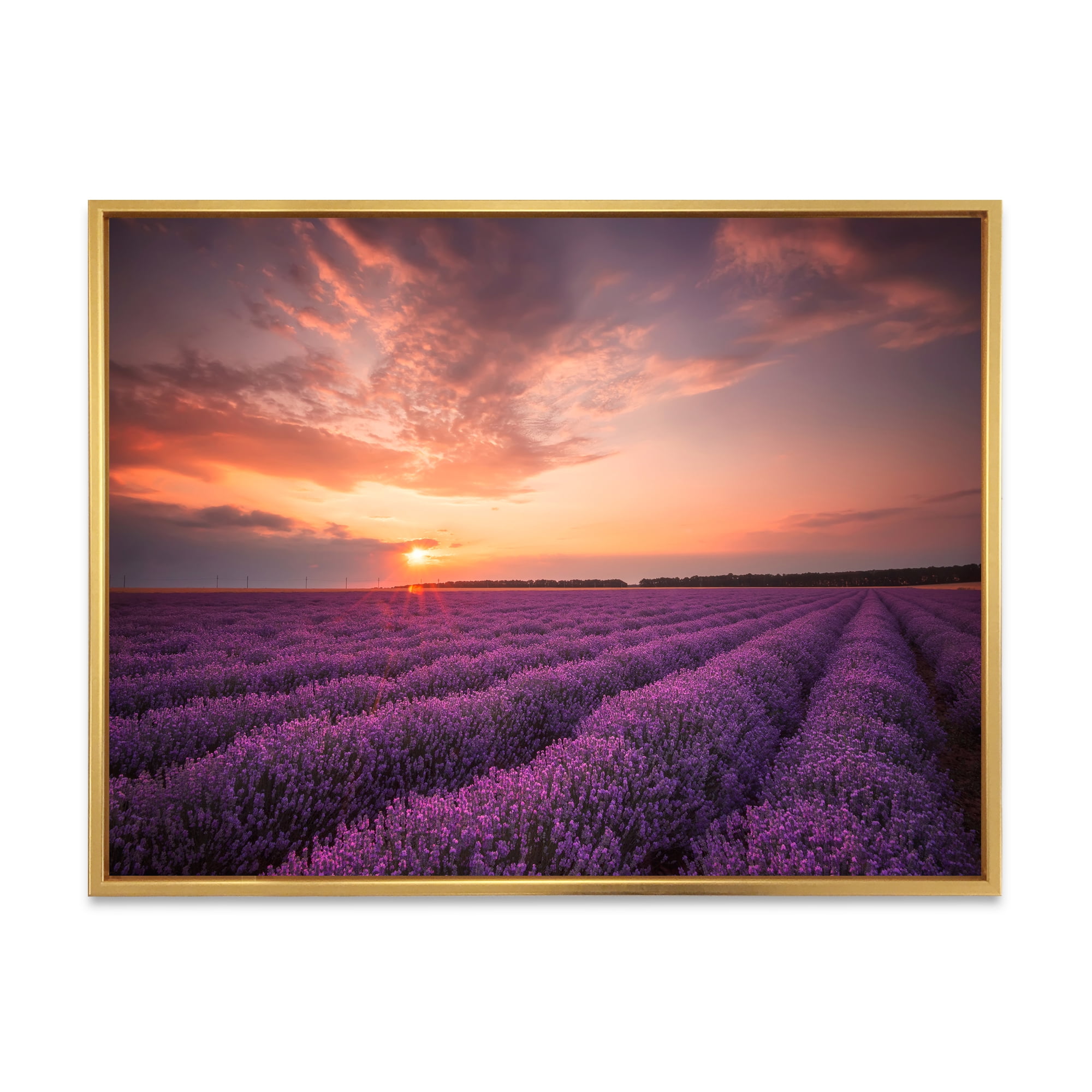 Designart 'Dramatic Clouds and Sunrise Over Lavender Field XII' Farmhouse Framed Canvas Wall Art Print