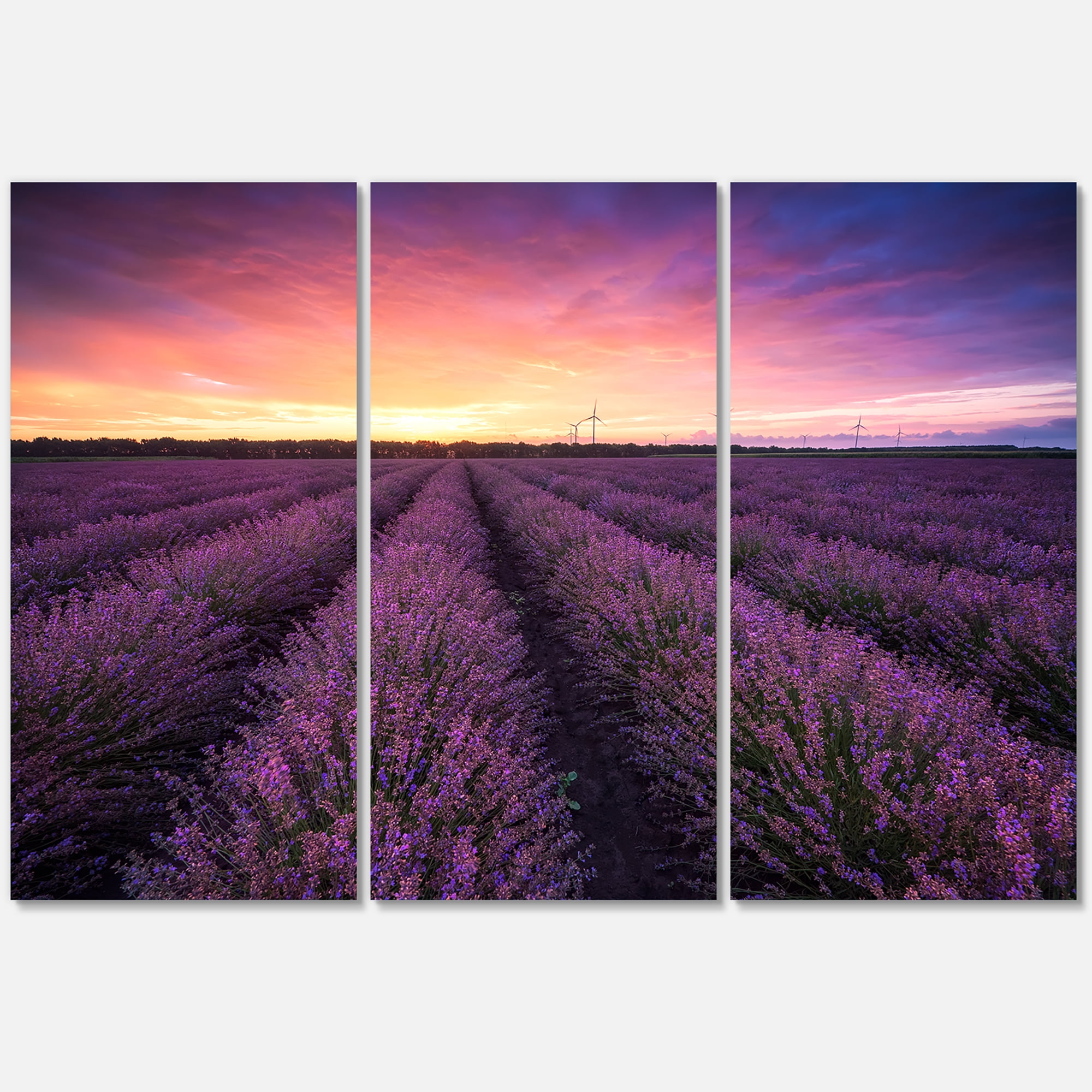 Designart ' Dramatic Clouds and Sunrise Over Lavender Field XIII ' Farmhouse Canvas Wall Art Print