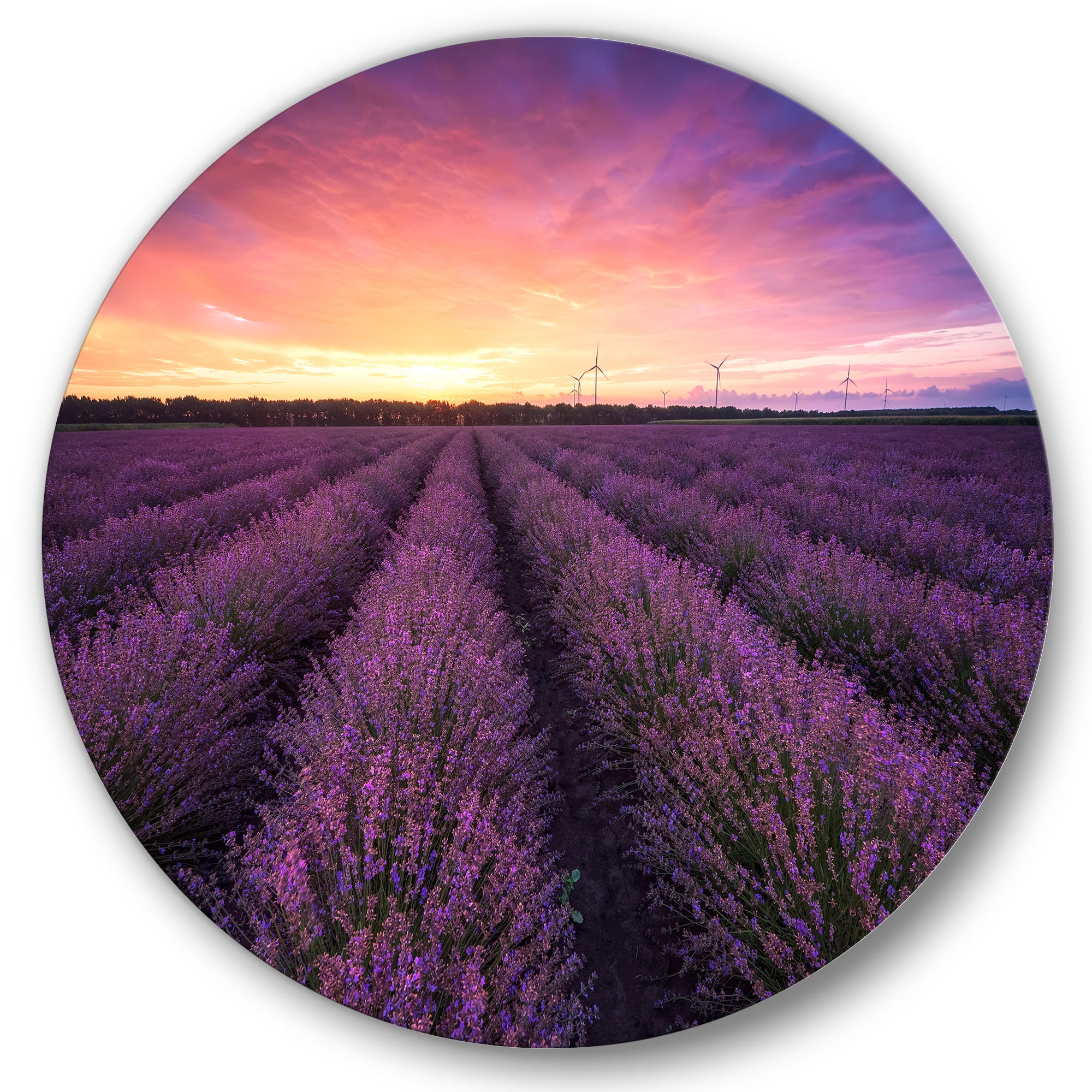 Designart 'Dramatic Clouds and Sunrise Over Lavender Field XIII' Farmhouse Circle Metal Wall Art 29x29 - Disc of 29