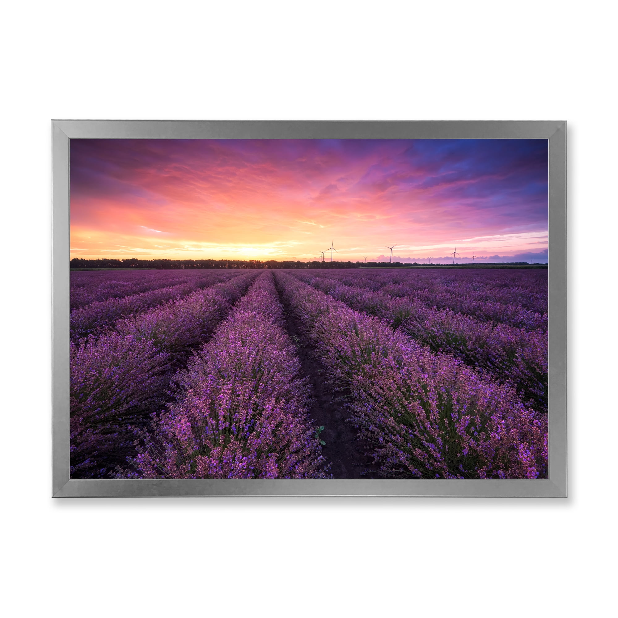 Designart 'Dramatic Clouds and Sunrise Over Lavender Field XIII' Farmhouse Framed Art Print