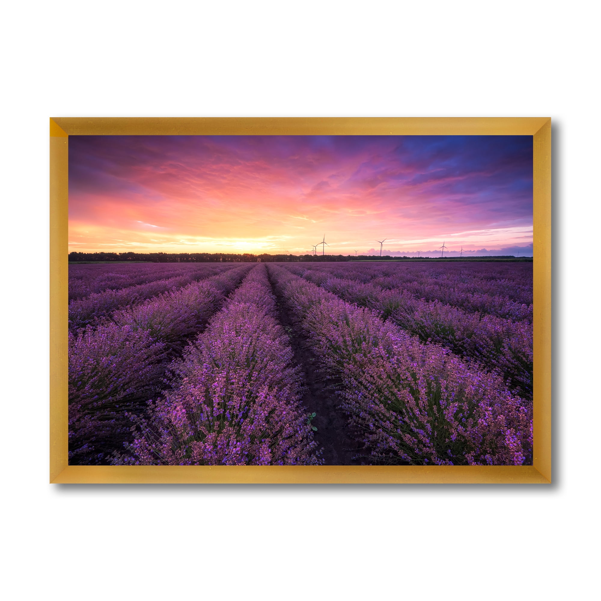 Designart 'Dramatic Clouds and Sunrise Over Lavender Field XIII' Farmhouse Framed Art Print