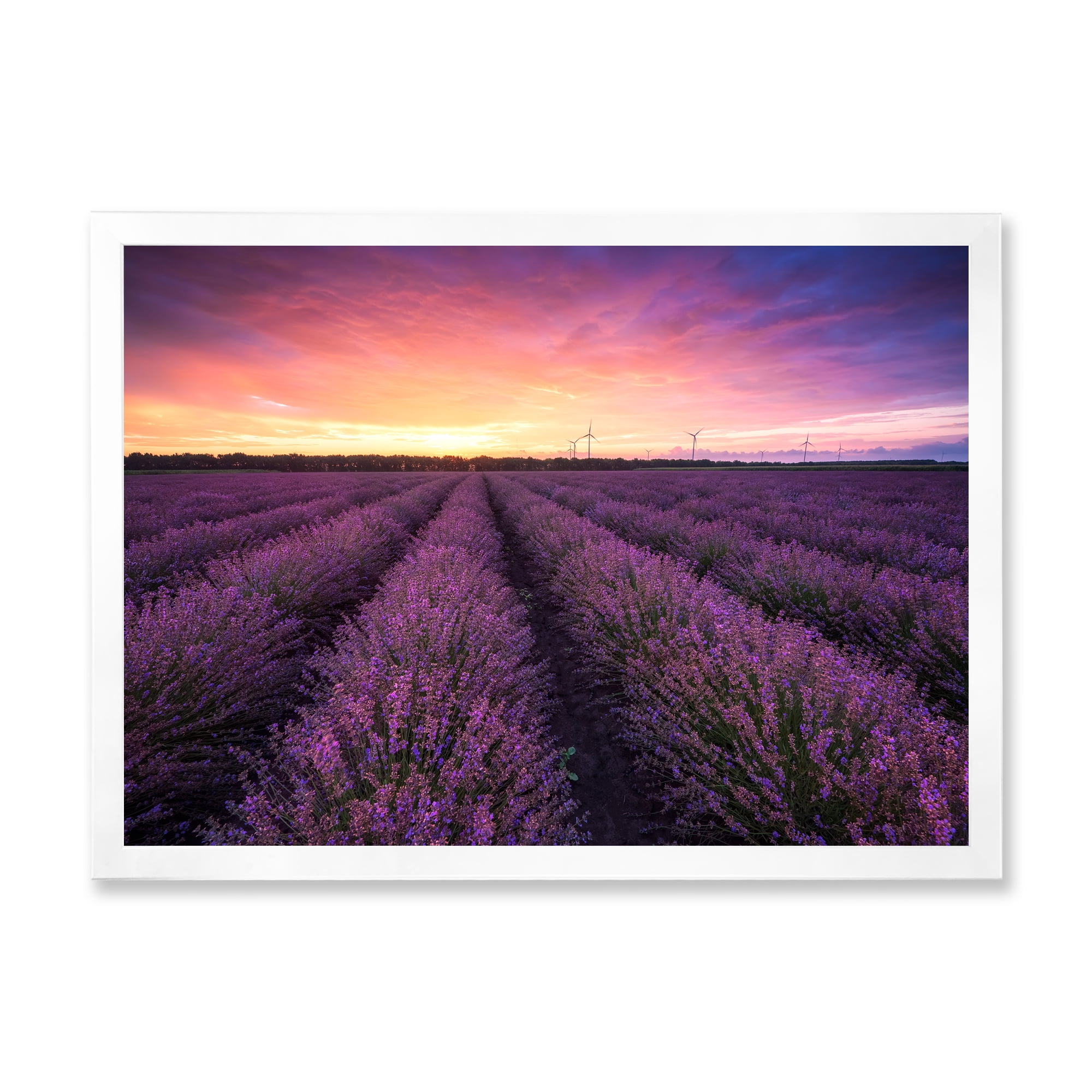 Designart 'Dramatic Clouds and Sunrise Over Lavender Field XIII' Farmhouse Framed Art Print