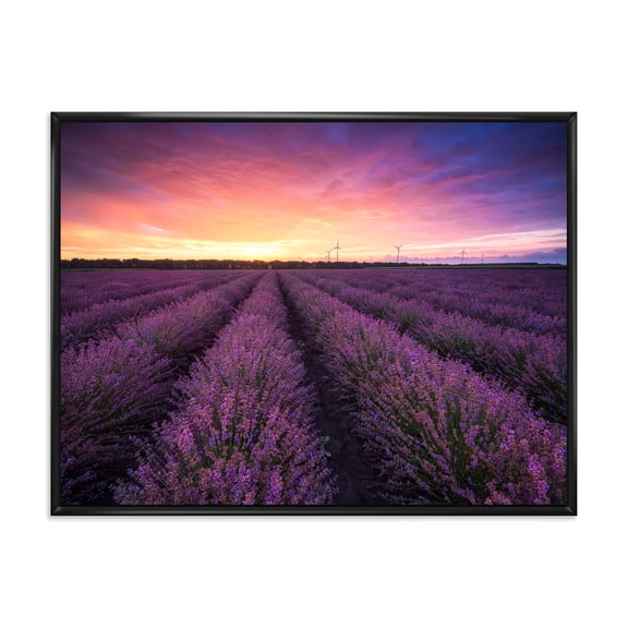 Designart 'Dramatic Clouds and Sunrise Over Lavender Field XIII' Farmhouse Framed Canvas Wall Art Print