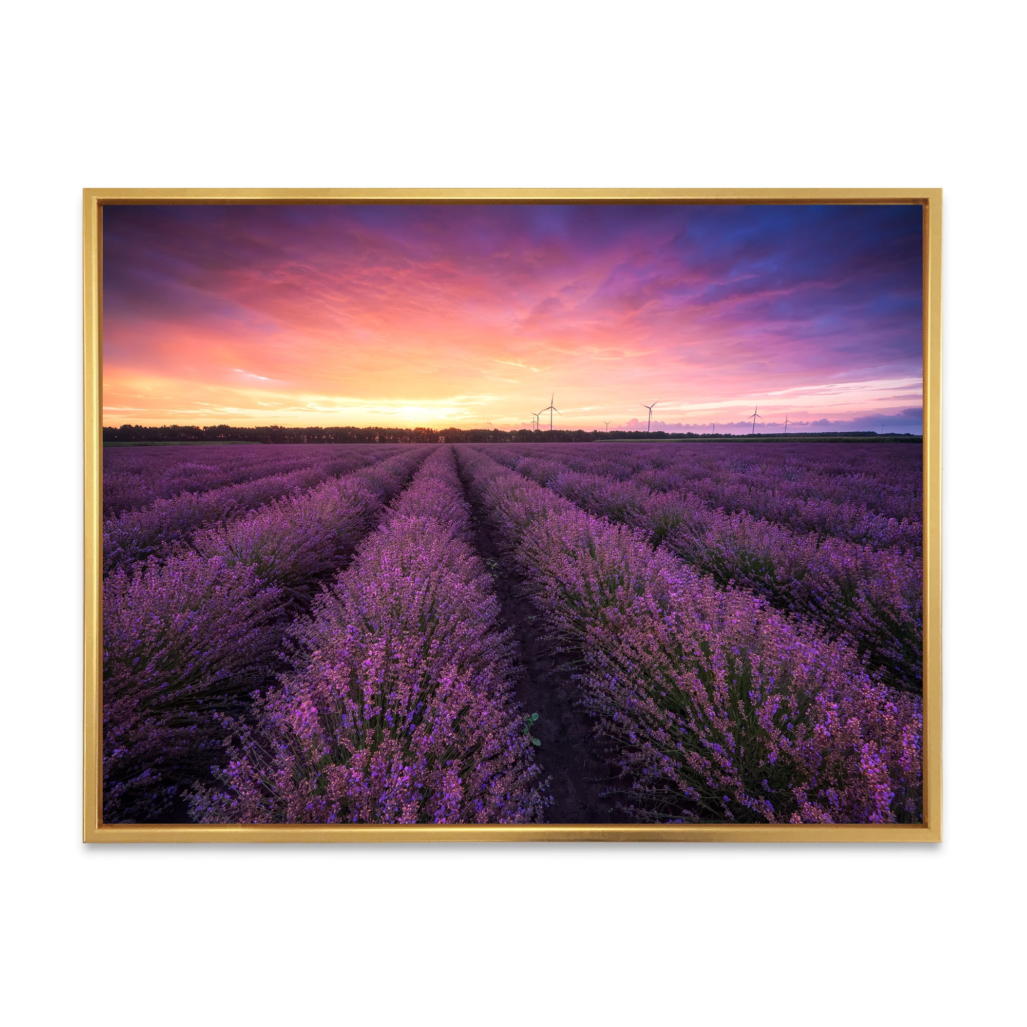 Designart 'Dramatic Clouds and Sunrise Over Lavender Field XIII' Farmhouse Framed Canvas Wall Art Print