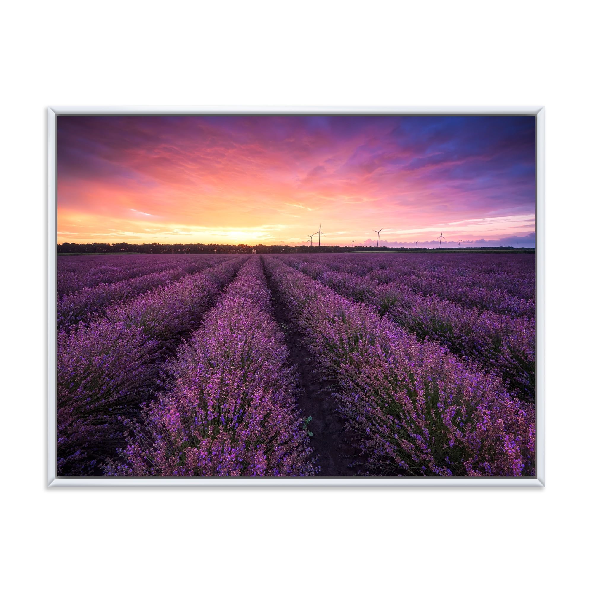 Designart 'Dramatic Clouds and Sunrise Over Lavender Field XIII' Farmhouse Framed Canvas Wall Art Print