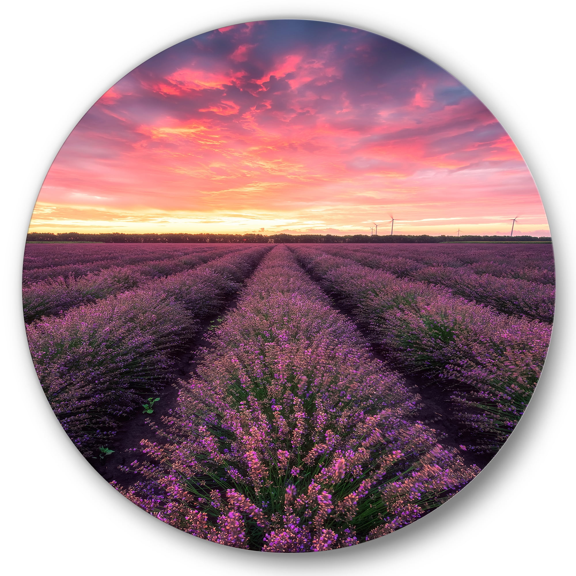 Designart 'Dramatic Clouds and Sunrise Over Lavender Field XIV' Farmhouse Circle Metal Wall Art 11x11 - Disc of 11