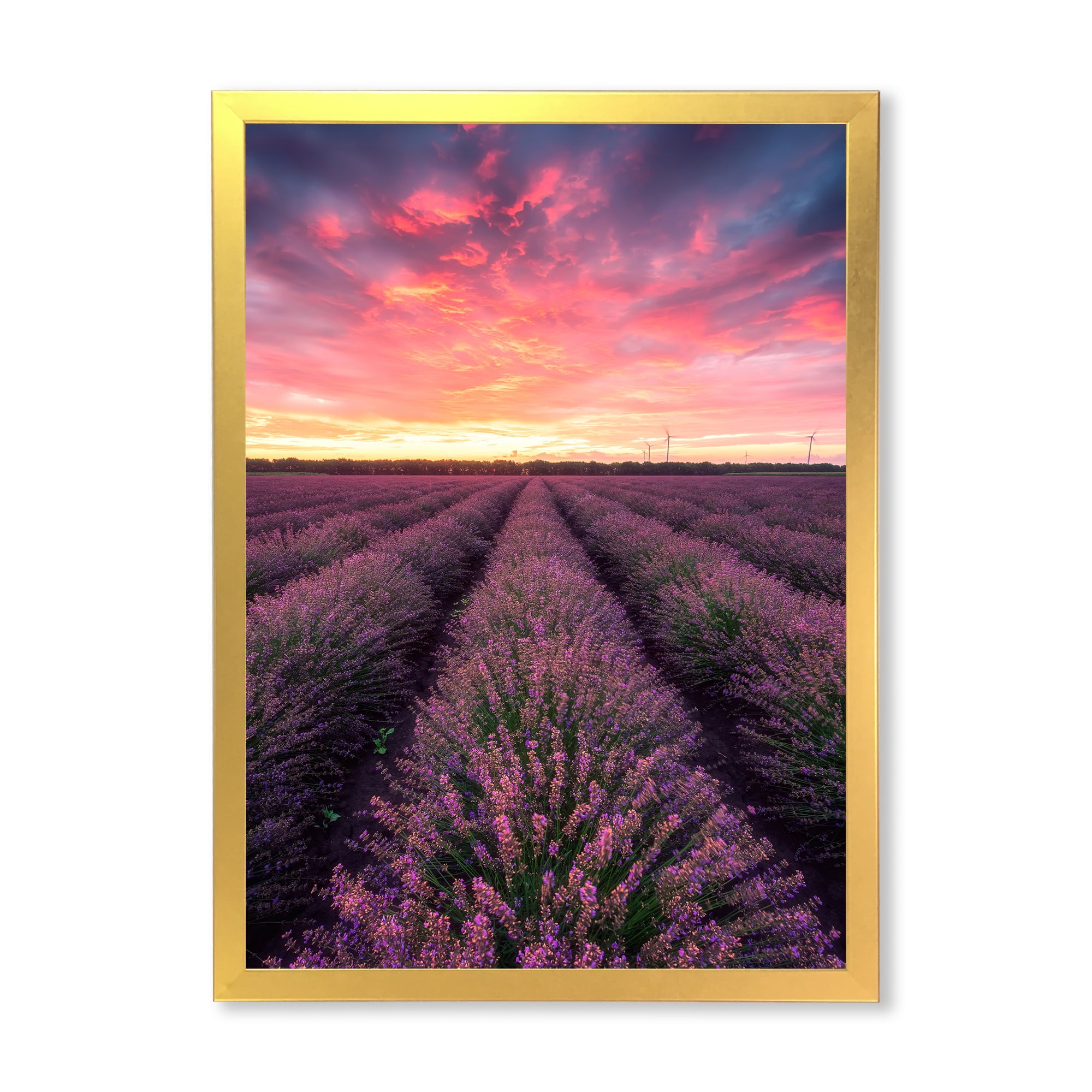 Designart 'Dramatic Clouds and Sunrise Over Lavender Field XIV' Farmhouse Framed Art Print