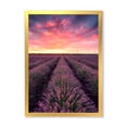 thumbnail image 1 of Designart 'Dramatic Clouds and Sunrise Over Lavender Field XIV' Farmhouse Framed Art Print, 1 of 4