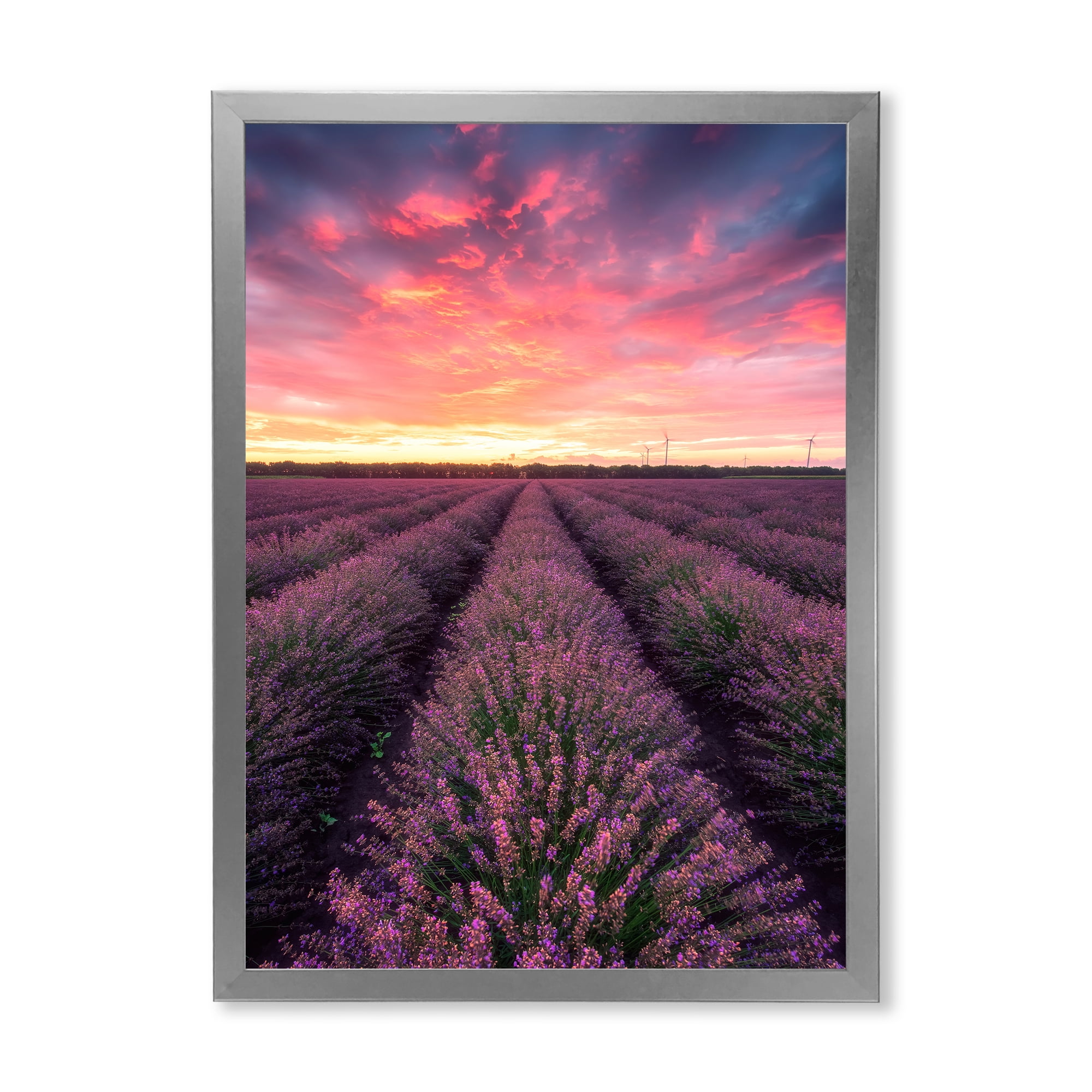 Designart 'Dramatic Clouds and Sunrise Over Lavender Field XIV' Farmhouse Framed Art Print