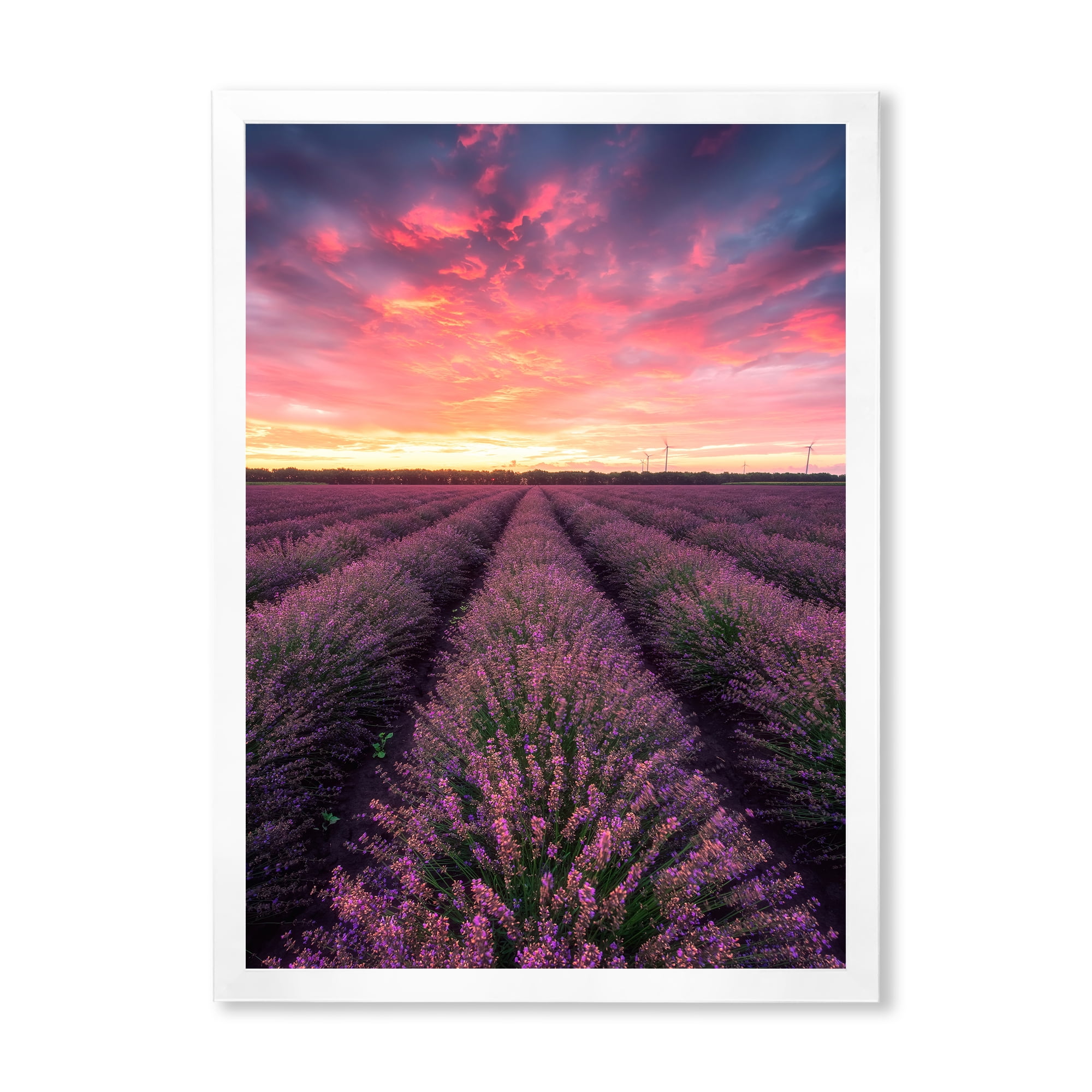 Designart 'Dramatic Clouds and Sunrise Over Lavender Field XIV' Farmhouse Framed Art Print