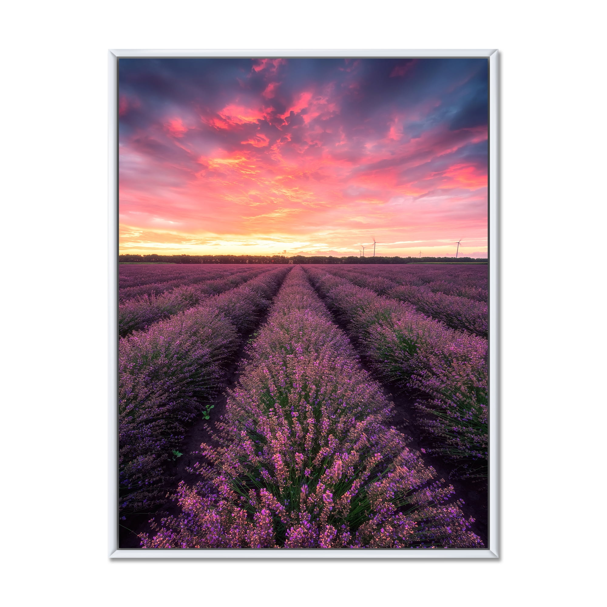 Designart 'Dramatic Clouds and Sunrise Over Lavender Field XIV' Farmhouse Framed Canvas Wall Art Print