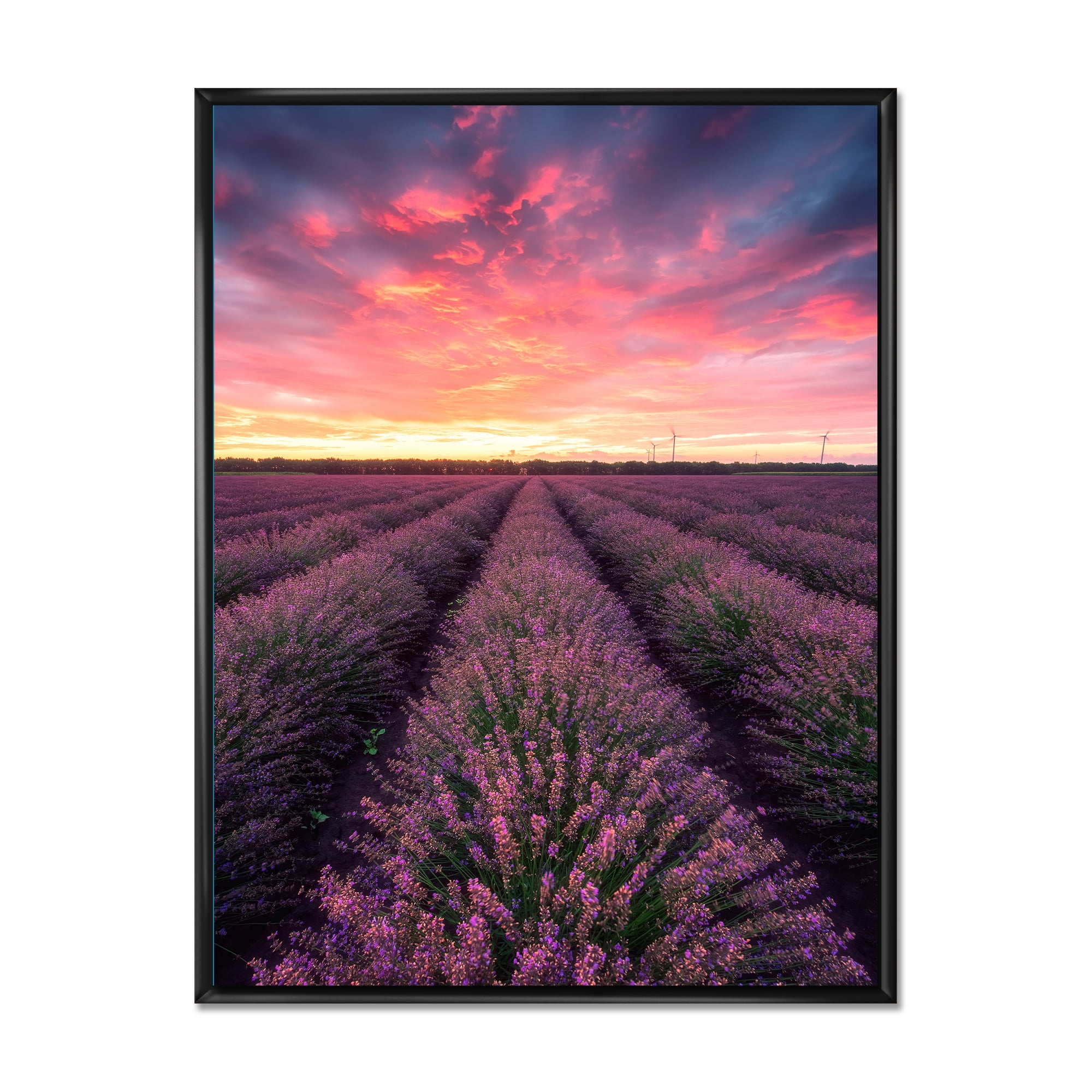 Designart 'Dramatic Clouds and Sunrise Over Lavender Field XIV' Farmhouse Framed Canvas Wall Art Print