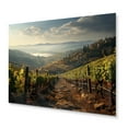 thumbnail image 1 of Designart "Dreamcatcher Field in the Green Vineyard" Farmhouse Metal Wall Art Prints, 1 of 5
