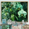 thumbnail image 1 of Designart "Dreamscapes Of Green Orchid Fantasy I" Orchids Floater Framed Canvas Prints, 1 of 5
