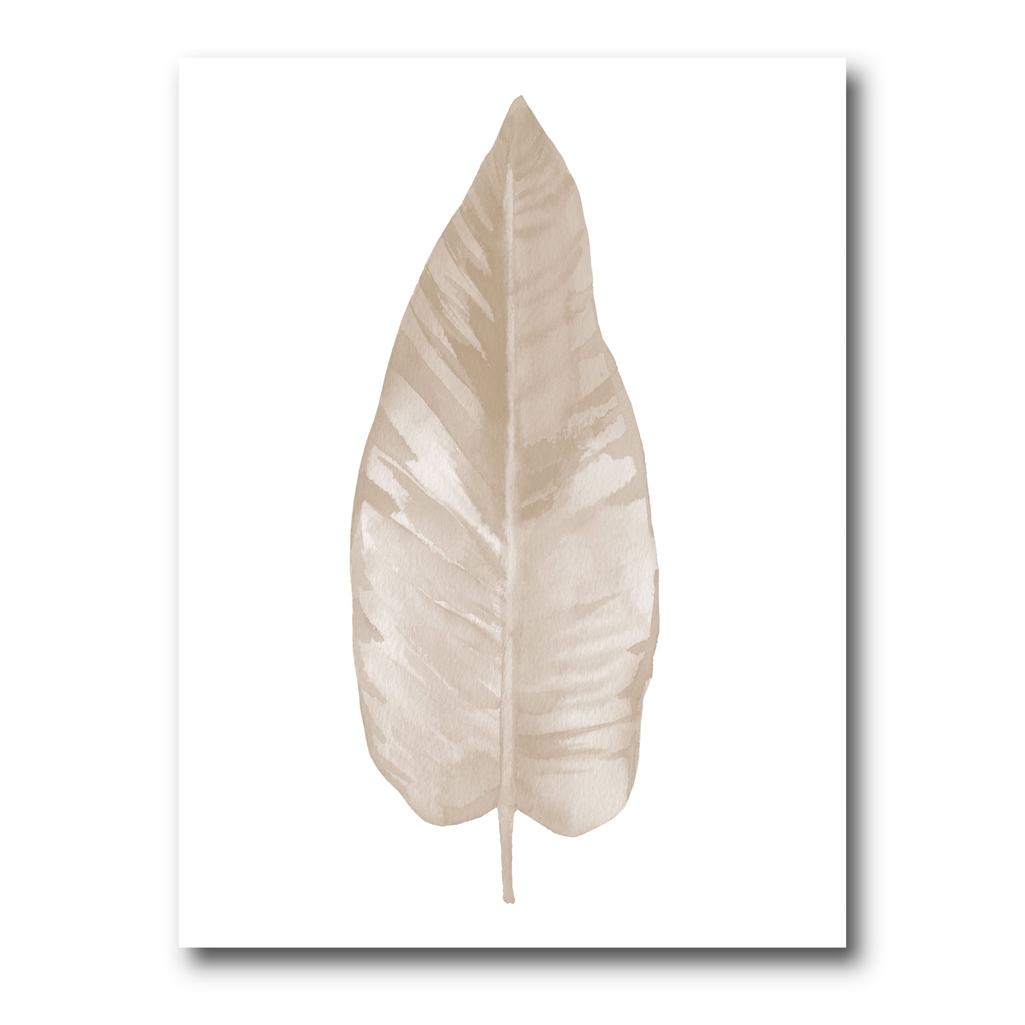Designart ' Dried Leaf Plant Beige On White Background ' Traditional Canvas Wall Art Print