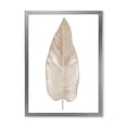 thumbnail image 1 of Designart 'Dried Leaf Plant Beige On White Background' Traditional Framed Art Print, 1 of 4
