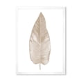 thumbnail image 1 of Designart 'Dried Leaf Plant Beige On White Background' Traditional Framed Art Print, 1 of 4