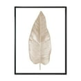 thumbnail image 1 of Designart 'Dried Leaf Plant Beige On White Background' Traditional Framed Canvas Wall Art Print, 1 of 5