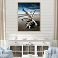 thumbnail image 1 of Designart "Driftwood on the Beach I" Nautical & Beach Floater Framed Wall Art Living Room, 1 of 7