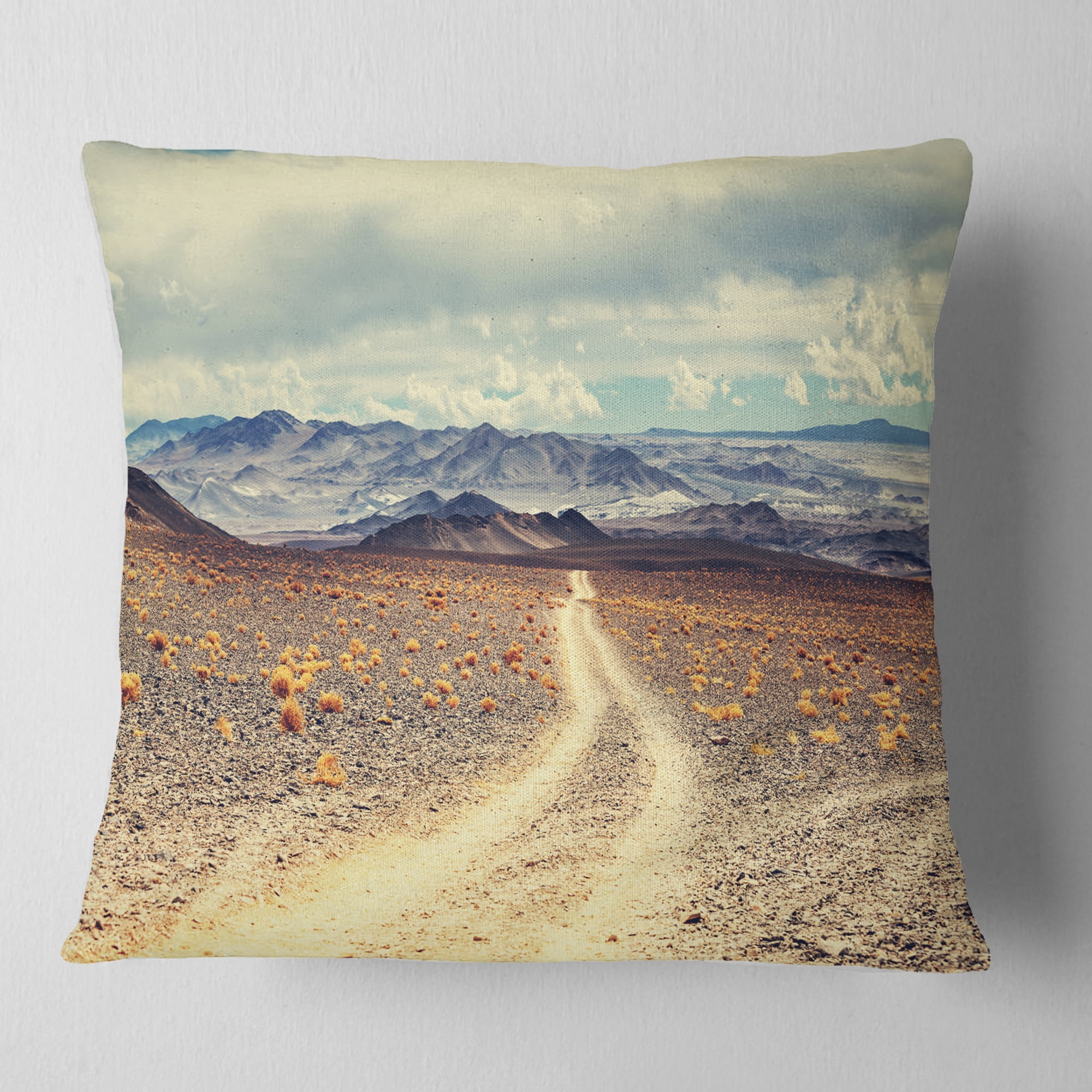 Designart Dry Grass and Mountains in Argentina - Landscape Printed Throw Pillow - 18x18