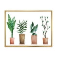 thumbnail image 1 of Designart 'Duo of Potted Flowers House Plants In Claypots' Farmhouse Framed Canvas Wall Art Print, 1 of 5