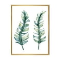 thumbnail image 1 of Designart 'Duo of Tropical Leaves On White' Farmhouse Framed Canvas Wall Art Print, 1 of 5