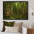 thumbnail image 1 of Designart "Dynamic Lighting In The Bamboo Grove" Bamboo Picture Framed Wall Art Living Room, 1 of 5