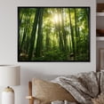 thumbnail image 1 of Designart "Dynamic Lighting In The Bamboo Grove II" Bamboo Floater Framed Canvas Prints, 1 of 5
